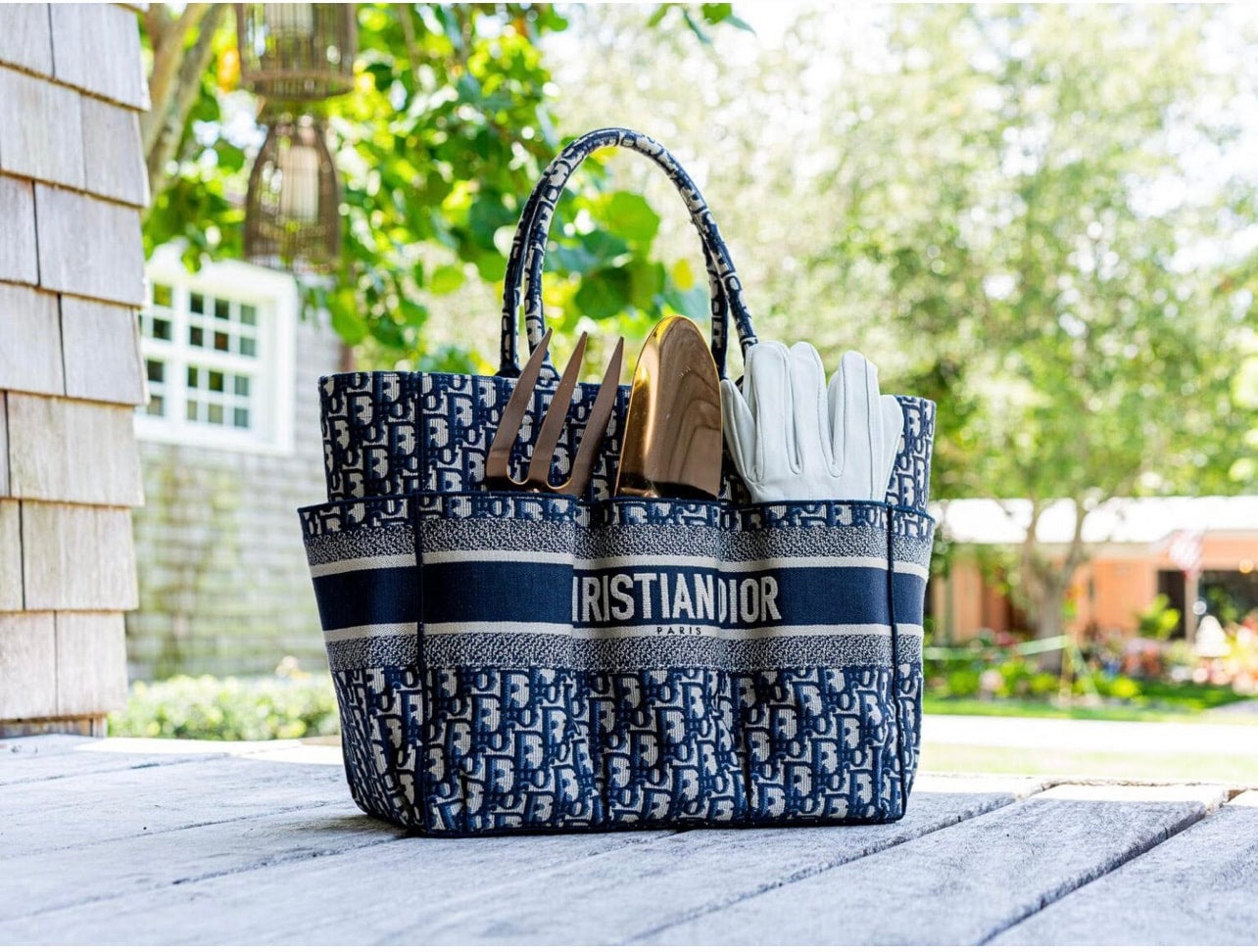 Dior Catherine Tote Reluxe Luxe